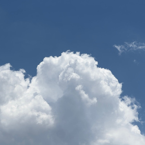 淫香色欲插插少女
